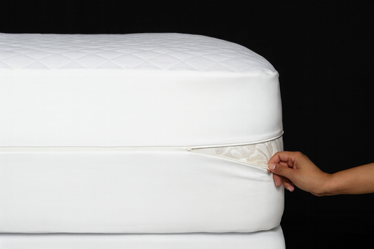 Bedbug Protective Shield Encasement